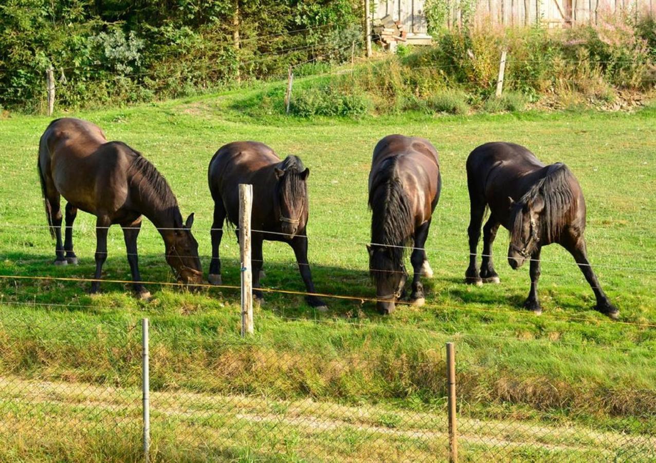 Ferienhof Kuerschner Drebach 外观 照片